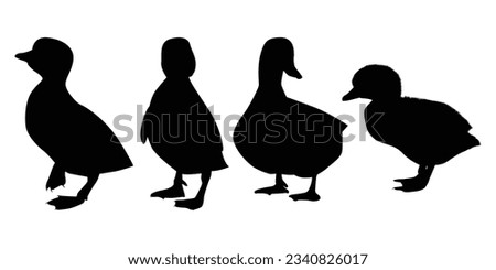 Farm Animal Newly born Duck Silhouette Vector Illustration