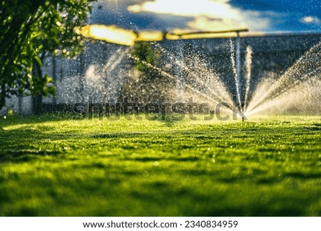 Garden irrigation system. Summer heat. Royalty-Free Stock Photo #2340834959