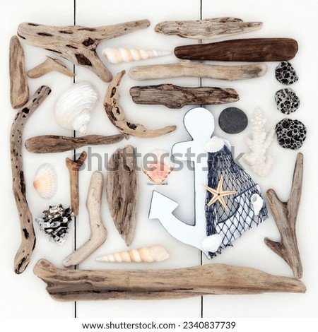 Beach and seaside shells, driftwood, pebbles and decorative anchor over wooden white background.