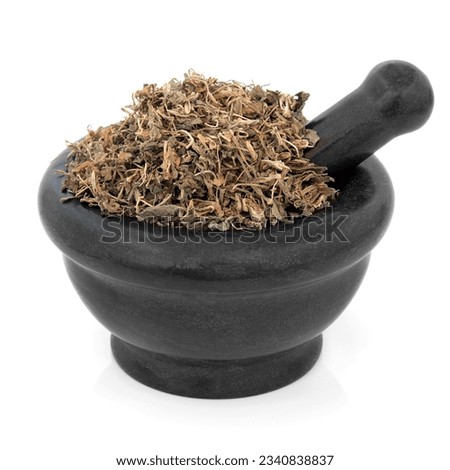 Gentian herb, used in chinese herbal medicine in a marble mortar with pestle over white background. Di ding. Gentiana loureiroi.