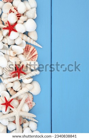 Starfish and white sea shell selection over wooden blue background.