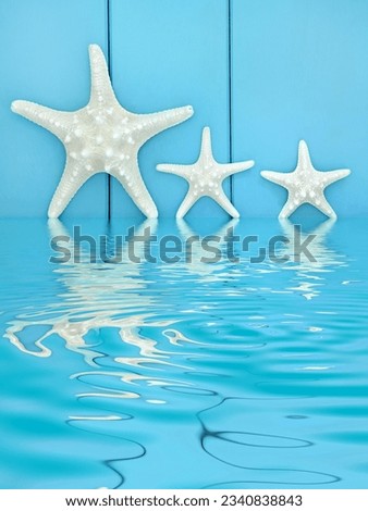 Starfish seashells on wooden blue background with reflection in water.