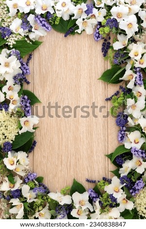 Lavender, elderflower, ceanothus, ladys mantle and philadelphus mock orange flower border over light oak background.