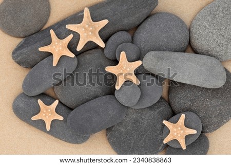 Starfish sea shell and pebbles on a sand beach.