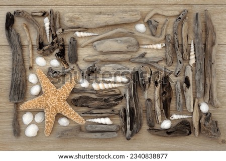 Starfish and sea shell collage with driftwood over oak wood background.