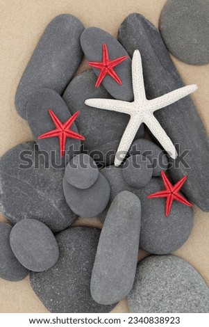 Starfish sea shells and pebbles on a sand beach.