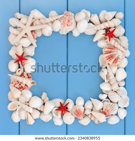 Starfish and white sea shell collection forming a frame over wooden blue background.