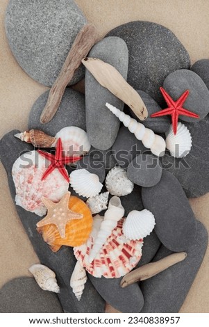 Sea shell, driftwood and pebbles on a sand beach background.