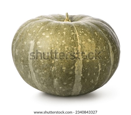 Green pumpkin isolated on a white background