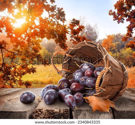 Plums in a basket on wooden table and autumn landscape