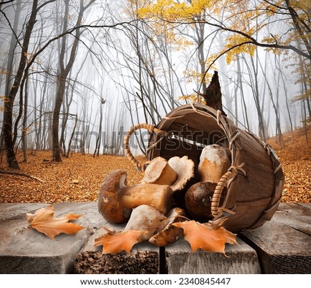 Mushrooms in a basket and autumn forest