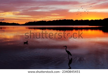 Magnificent sunrise and reflections at Narrabeen Lakes, NSW Australia