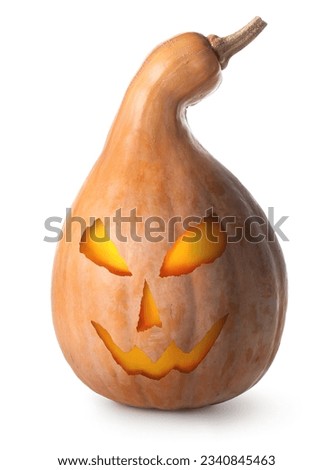 Orange pumpkin for Halloween isolated on a white background
