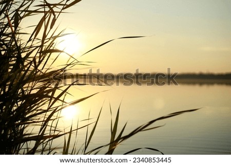 Watching the sunrise on a lake