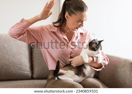 Domestic animal cruelty. Aggressive cat owner woman is ready to hit pet for misbehavior, doing abusive actions towards her fluffy friend at home. Inapropriate punishment and attitude towards pets Royalty-Free Stock Photo #2340859331