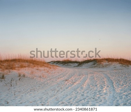Sunset colors in the dunes by the beach in North Carolina.  Royalty-Free Stock Photo #2340861871