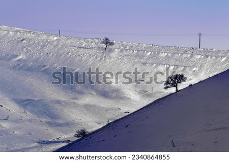 Snow photography in winter with contrast - single tree, snow, shadow