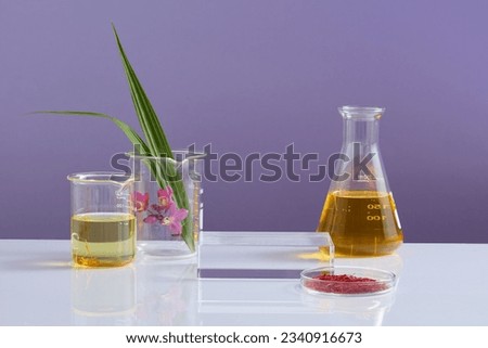 Square-shaped podium with beakers and flask of fluid, petri dish of saffron surrounded. Saffron contains an impressive variety of plant compounds