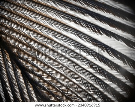  A close-up or micro view of a peacock feather