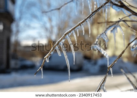Frosted tree branches covered with ice and icicles on white snowy background. Tallinn, Estonia. Selective focus, blurred background. Royalty-Free Stock Photo #2340917453