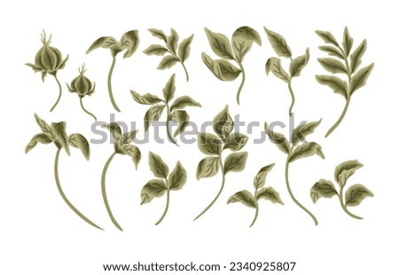 Hand drawn floral leaf branch, greenery, foliage vector clip art illustration collection