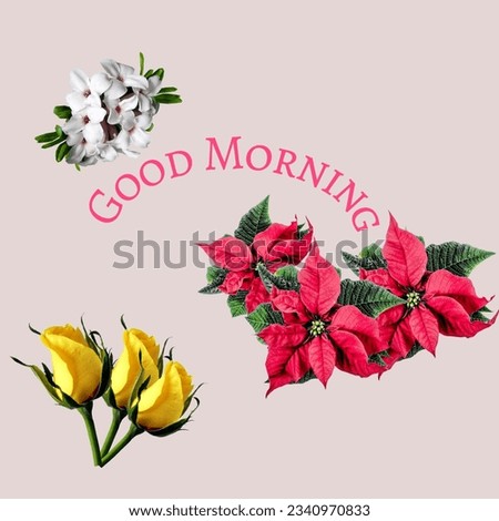 A good morning photo. A stylish font and beautiful flowers.
