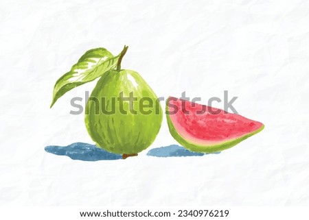 Guavas. Vector illustration with watercolor fruit. Painting technique. Fresh organic food. Royalty-Free Stock Photo #2340976219