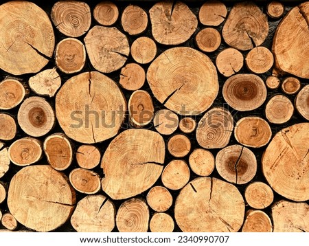 wall of stacked wooden logs. Background texture. High quality photo