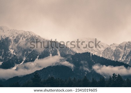 Beautiful winter landscape with snow covered trees and mountains in Kashmir.