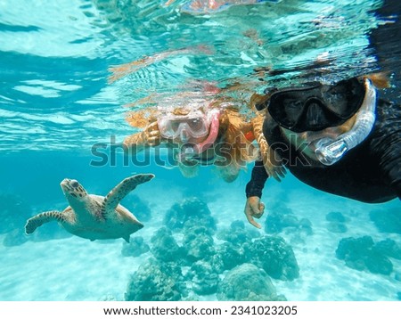 Father and daughter are snorkeling next to a beautiful sea turtle Royalty-Free Stock Photo #2341023205