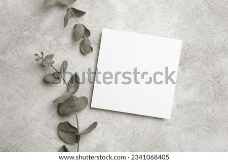 Blank square paper card mockup with natural eucalyptus twigs, mock up with copy space for card design