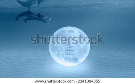Silhouette of old abandoned shipwreck sea or ocean bottom with dolphin full moon in the background "Elements of this image furnished by NASA "