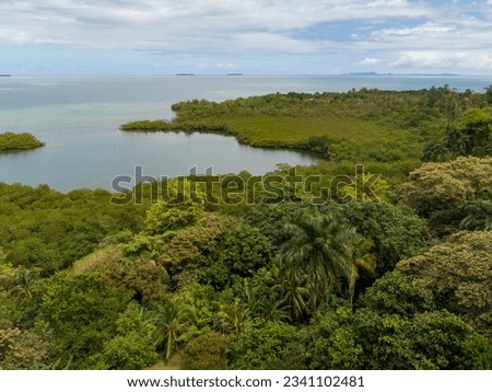 Tropical rainforest at Bastimentos Island, Bocas del Toro, Panama - stock photo