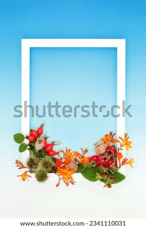 Vivid Autumn Thanksgiving harvest festival flowers, leaves, berry fruit, nuts background border with white frame on gradient blue white. Nature design for greeting card, menu, invitation, label.

 