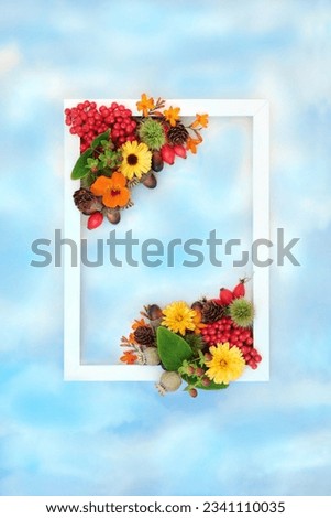 Autumn floral harvest festival fruit flower and nut background border with white frame on blue sky and cloud. Festive Thanksgiving fall seasonal nature concept for label, card, invitation.