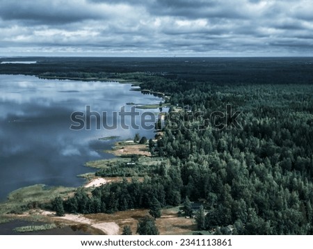 Aerial view of the sea, forest in Finland