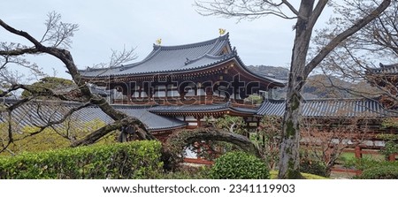 Image from Byodoin Temple near Kyoto, Japan