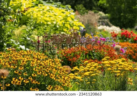 Stunning, colourful mixed flower borders at Wisley Garden, Surrey UK. The extensive flower beds have mainly perennial plants growing in them. Royalty-Free Stock Photo #2341120863