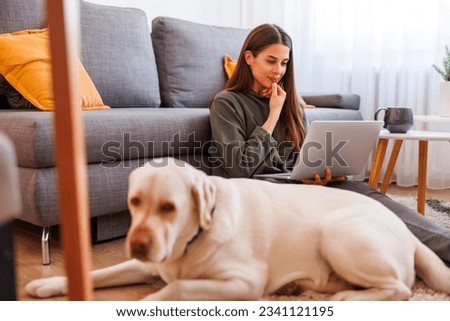 Beautiful young woman working remotely from home using laptop computer with her pet dog lying next to her