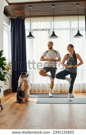 Joyful couple in sportswear standing in yoga pose on fitness mats near border collie at home Royalty-Free Stock Photo #2341135855