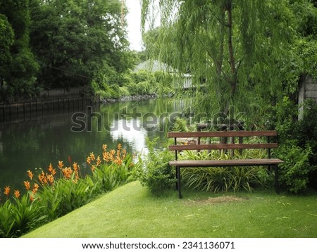 A wooden chair on the green park near river background 