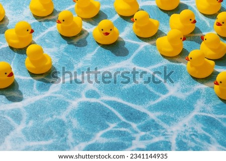 Yellow rubber duck. Rubber Duck toy. Rubber duck toy for swimming. cute toy duck. Ducklings.