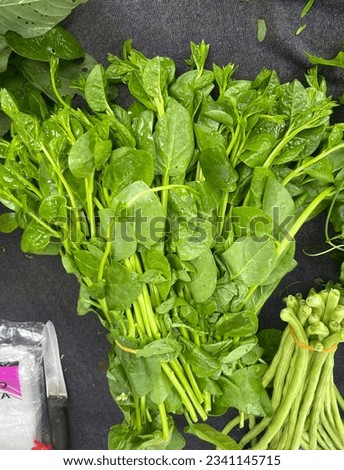 Spinach, fresh leaves, beautiful colors, appetizing
