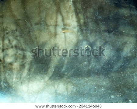 ancient imprints of living organisms in stone Royalty-Free Stock Photo #2341146043