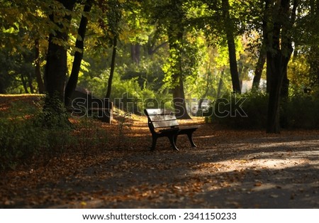 Autumn alley in the park with a bench. Royalty-Free Stock Photo #2341150233