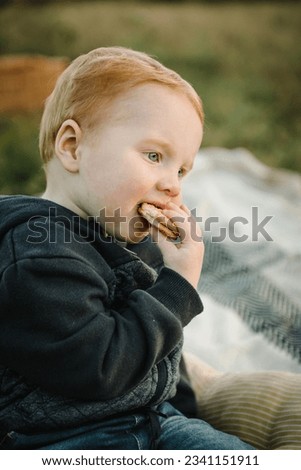 Boy eating cookies on a picnic in summer park. Kid sitting on blanket and eat food and relax at sunset. Happy children spending time together in field. Family holiday outdoors in autumn day. Closeup