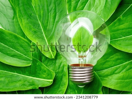 Top View of Eco-Friendly Lightbulb Made of Fresh Leaves - Nature-Inspired Concept for Sustainable and Green Living.