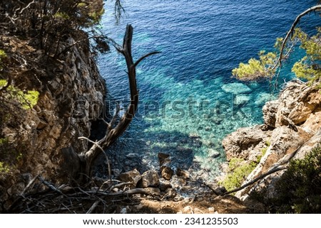 The concept of passion for travel through untouched nature, the edge of the cliff going to the azure water. There are dry fallen trees and bizarre branches on the shore.