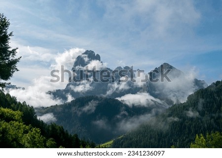 beautiful and idyllic picture of the mountains in summer in South Tyrol