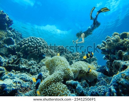 Free diver girl takes underwater photos of a beautiful coral reef with tropical fish